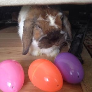 Meet your Posher, Gena